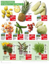 42. stránka Kaufland letáku