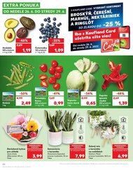 42. stránka Kaufland letáku