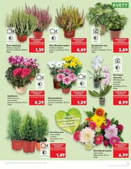 5. stránka Kaufland letáku