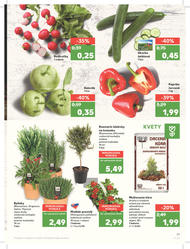 21. stránka Kaufland letáku