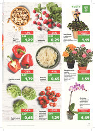 13. stránka Kaufland letáku
