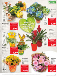 5. stránka Kaufland letáku