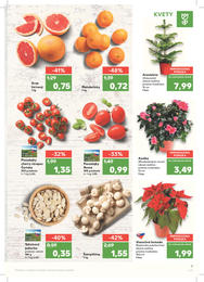 9. stránka Kaufland letáku