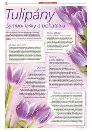 22. stránka Kaufland letáku