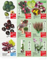 3. stránka Kaufland letáku