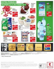 48. stránka Kaufland letáku