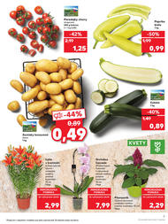 7. stránka Kaufland letáku