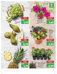 23. stránka Kaufland letáku