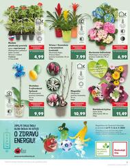 3. stránka Kaufland letáku