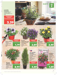 17. stránka Kaufland letáku