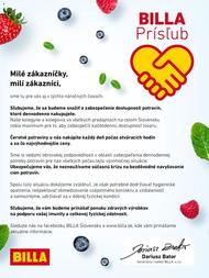 2. stránka Billa letáku