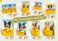 19. stránka Billa letáku