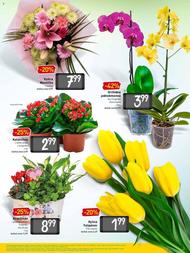 3. stránka Billa letáku