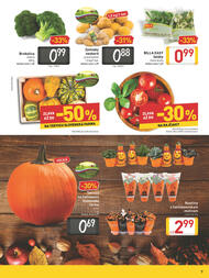 7. stránka Billa letáku