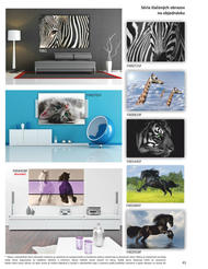 41. stránka Kondela letáku