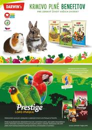 10. stránka Pet Center letáku