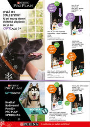 4. stránka Pet Center letáku