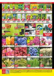 10. stránka Merkury Market letáku