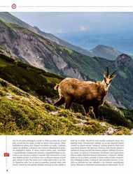 8. stránka Fotolab.sk letáku