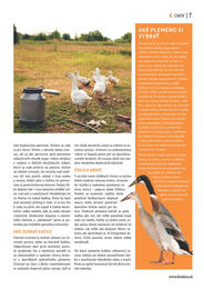 7. stránka Kinekus letáku