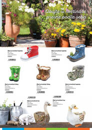 4. stránka Kinekus letáku