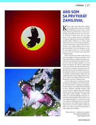27. stránka Kinekus letáku