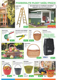 6. stránka Kinekus letáku