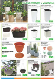 6. stránka Kinekus letáku