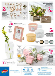 12. stránka Pepco letáku