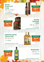 6. stránka 1day.sk letáku