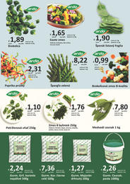 5. stránka Fega Food letáku