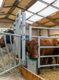 317. stránka Patura letáku