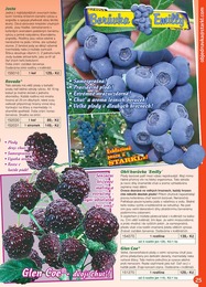 25. stránka Starkl letáku