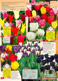 65. stránka Starkl letáku