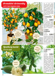 36. stránka Starkl letáku