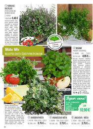 44. stránka Starkl letáku