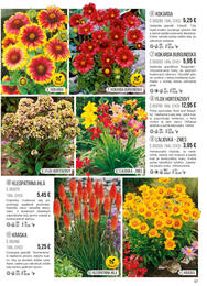 57. stránka Starkl letáku