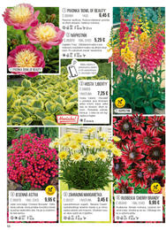 58. stránka Starkl letáku