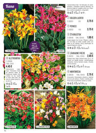 70. stránka Starkl letáku