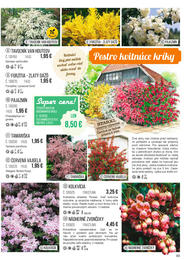 83. stránka Starkl letáku