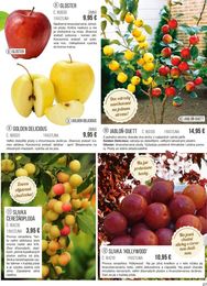 27. stránka Starkl letáku