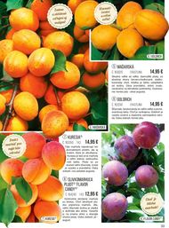 33. stránka Starkl letáku