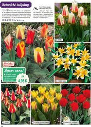 44. stránka Starkl letáku