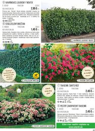 67. stránka Starkl letáku