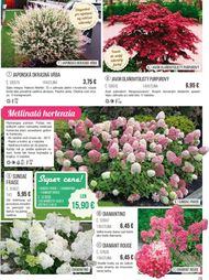 75. stránka Starkl letáku