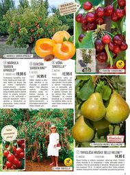 7. stránka Starkl letáku