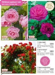 88. stránka Starkl letáku