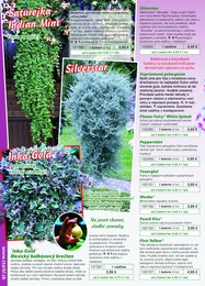 12. stránka Starkl letáku