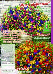 9. stránka Starkl letáku