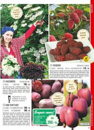 21. stránka Starkl letáku